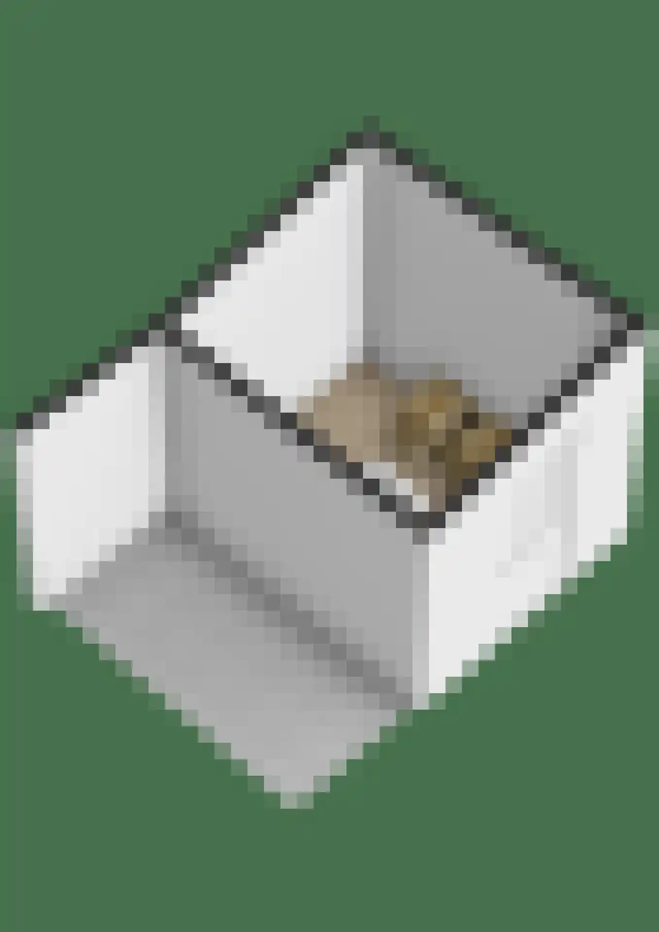 Werelderfgoed 56 Middenbeemster thumbnail 67