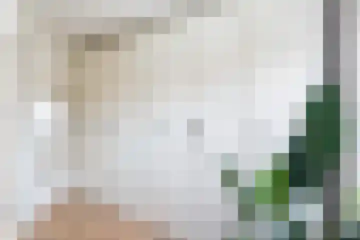 Wereldtuinenlaan 5 Vleuten thumbnail 20