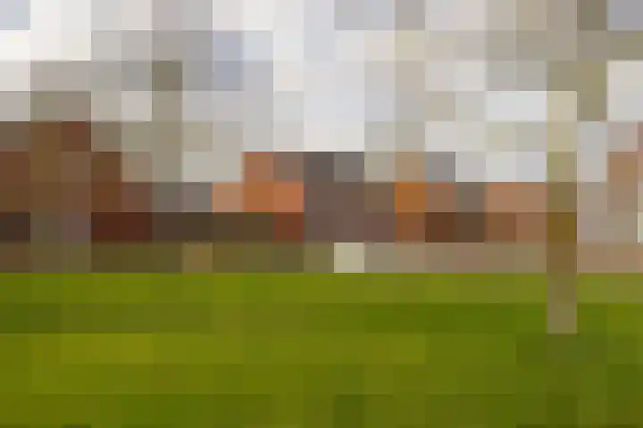 Wereldtuinenlaan 5 Vleuten thumbnail 43