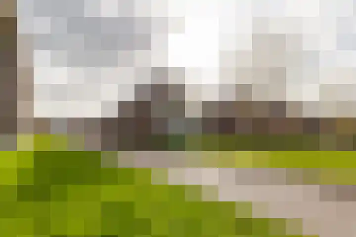 Wereldtuinenlaan 5 Vleuten thumbnail 44
