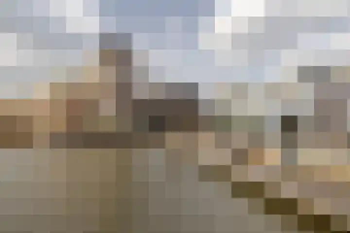 Wereldtuinenlaan 5 Vleuten thumbnail 49