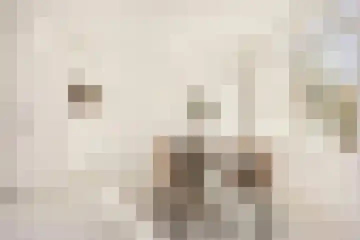 Wereldtuinenlaan 9 Vleuten thumbnail 11