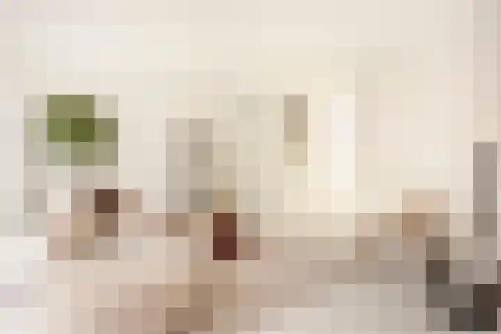 Wereldtuinenlaan 9 Vleuten thumbnail 18