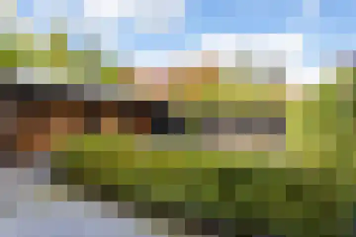 Wereldtuinenlaan 9 Vleuten thumbnail 22