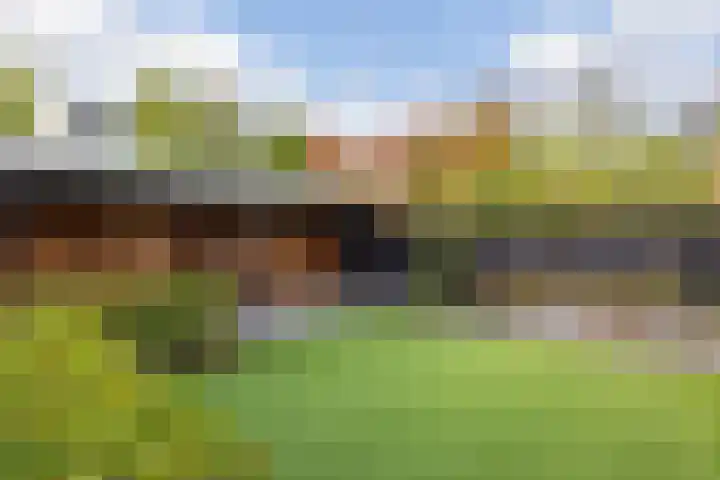 Wereldtuinenlaan 9 Vleuten thumbnail 23