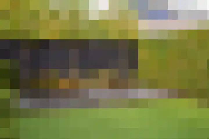 Wereldtuinenlaan 9 Vleuten thumbnail 24