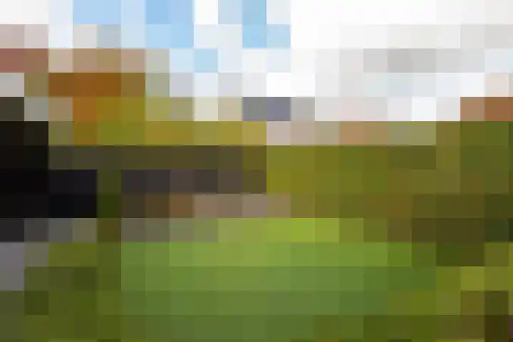 Wereldtuinenlaan 9 Vleuten thumbnail 25