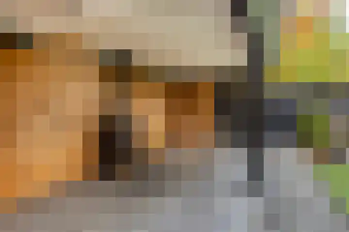 Wereldtuinenlaan 9 Vleuten thumbnail 26
