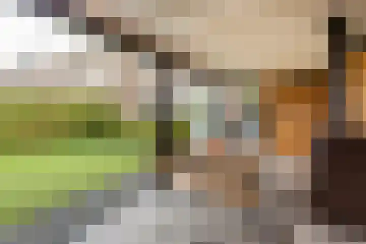 Wereldtuinenlaan 9 Vleuten thumbnail 27