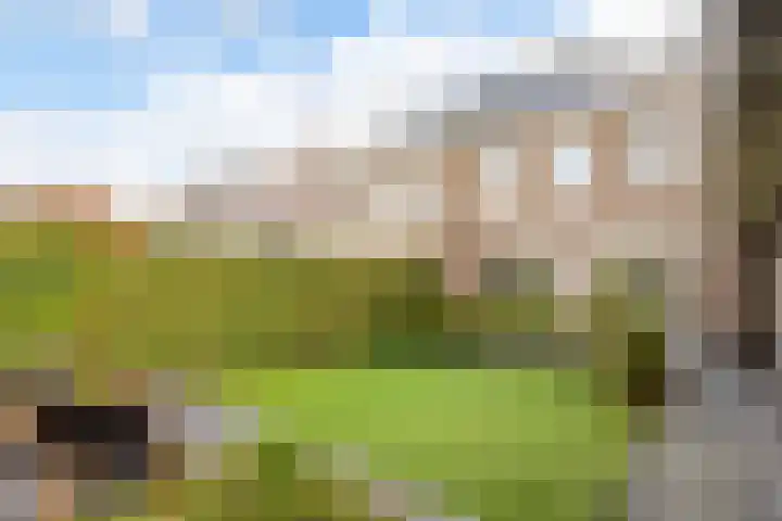 Wereldtuinenlaan 9 Vleuten thumbnail 29