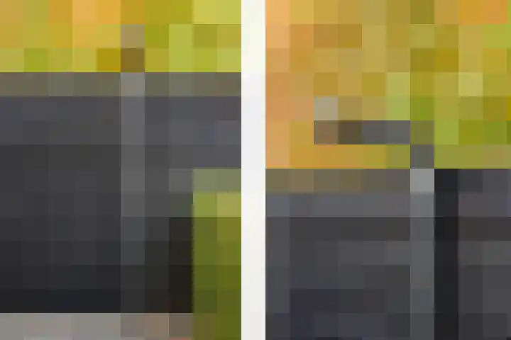 Wereldtuinenlaan 9 Vleuten thumbnail 30