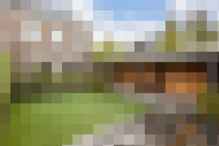 Wereldtuinenlaan 9 Vleuten thumbnail 31