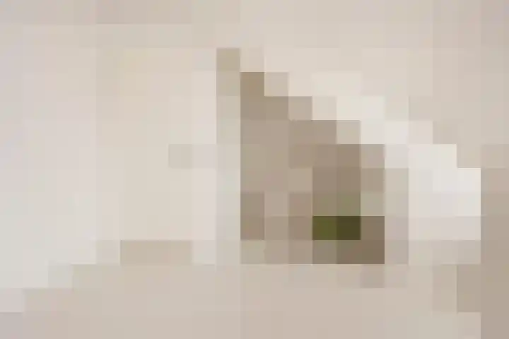 Wereldtuinenlaan 9 Vleuten thumbnail 57