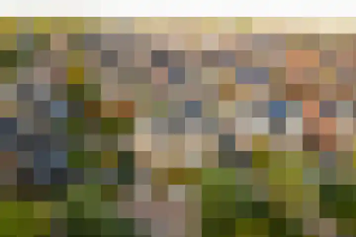 Wereldtuinenlaan 9 Vleuten thumbnail 60