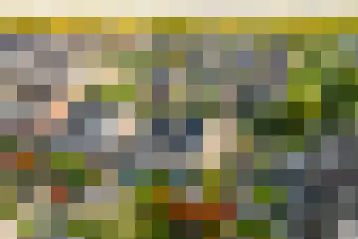 Wereldtuinenlaan 9 Vleuten thumbnail 61