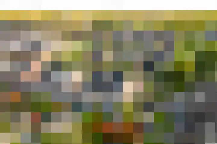 Wereldtuinenlaan 9 Vleuten thumbnail 62