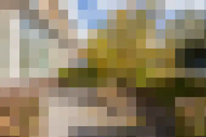 Wereldtuinenlaan 9 Vleuten thumbnail 65