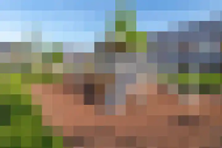 Wereldtuinenlaan 9 Vleuten thumbnail 67