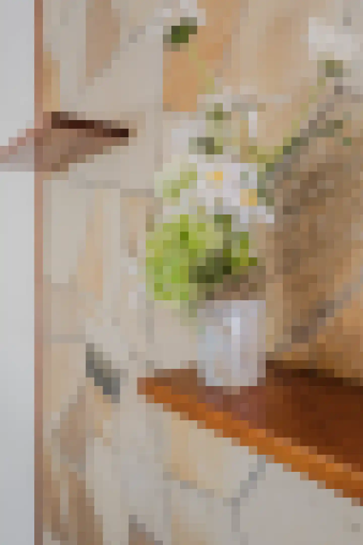 Werenfriedstraat 15 Zieuwent thumbnail 18
