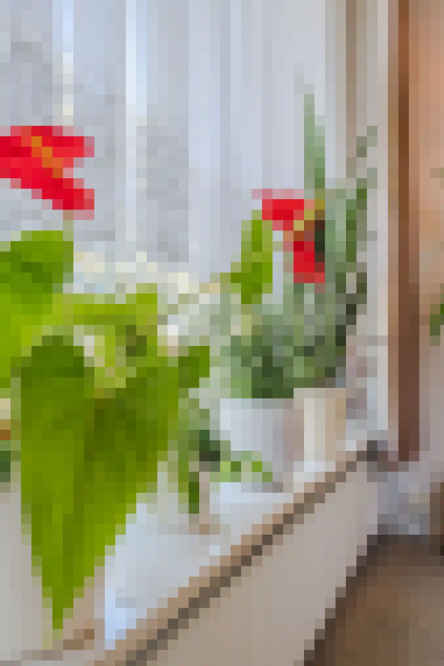 Werenfriedstraat 15 Zieuwent thumbnail 19