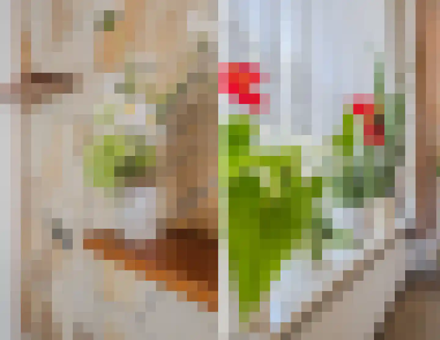 Werenfriedstraat 15 Zieuwent thumbnail 20