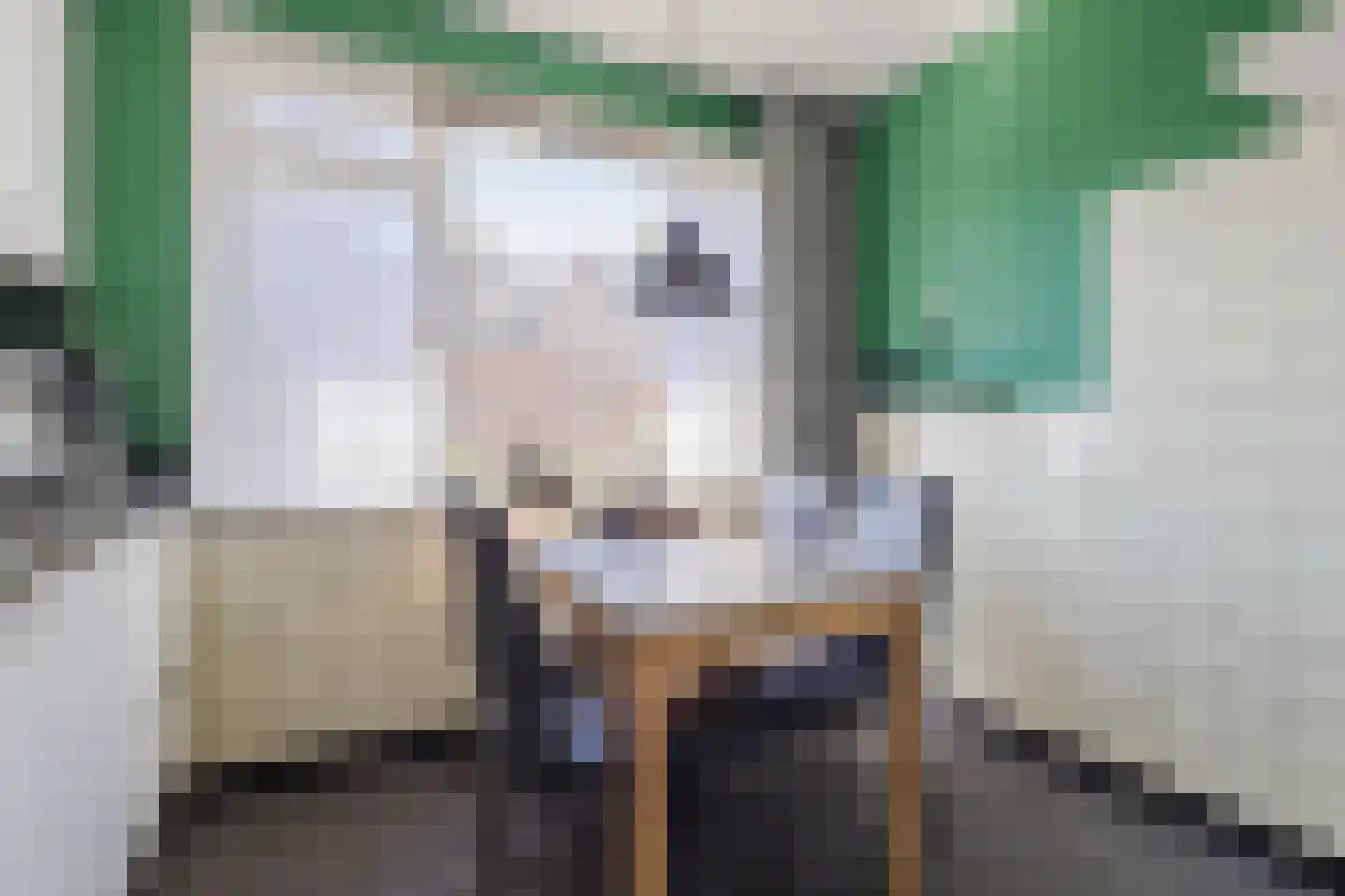 Werenfriedstraat 15 Zieuwent thumbnail 23