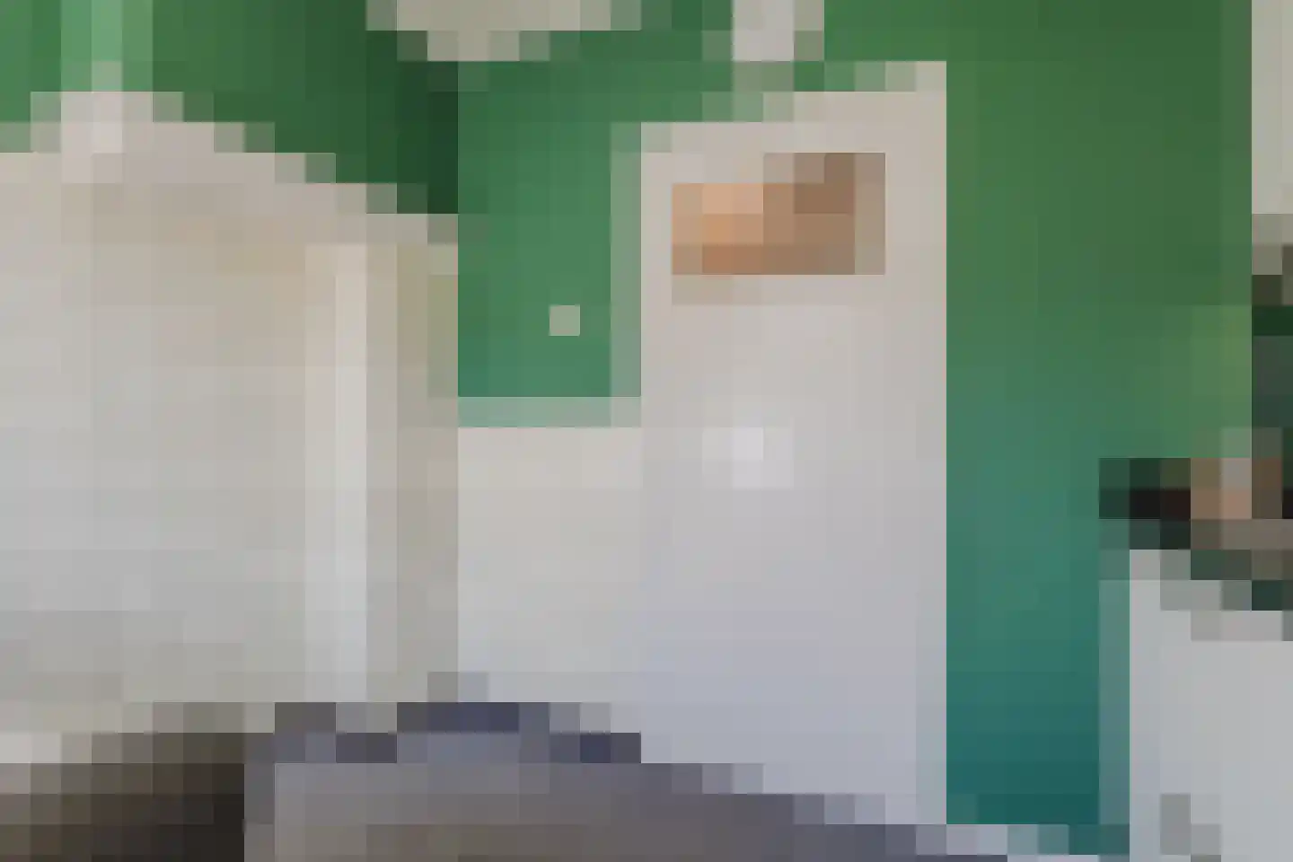 Werenfriedstraat 15 Zieuwent thumbnail 24
