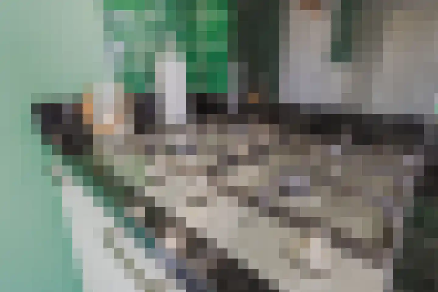 Werenfriedstraat 15 Zieuwent thumbnail 25