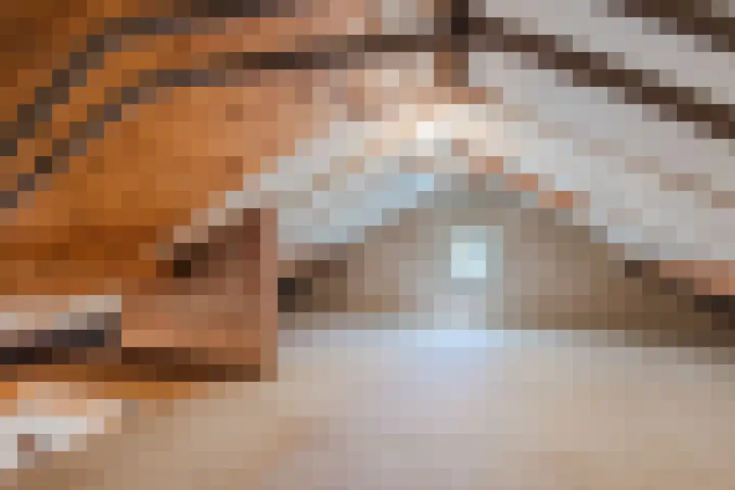 Werenfriedstraat 15 Zieuwent thumbnail 38