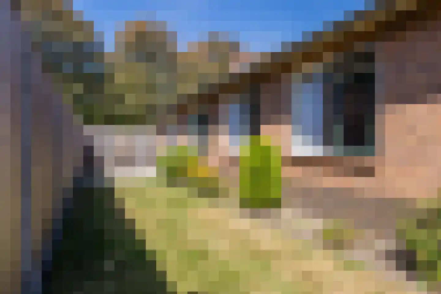 Werenfriedstraat 15 Zieuwent thumbnail 43