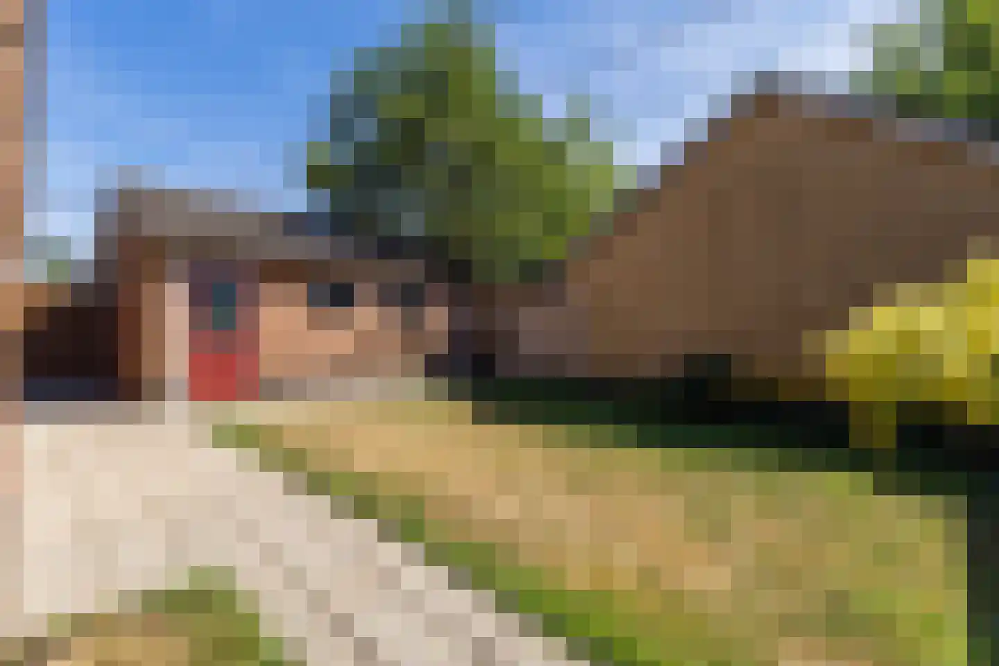 Werenfriedstraat 15 Zieuwent thumbnail 44