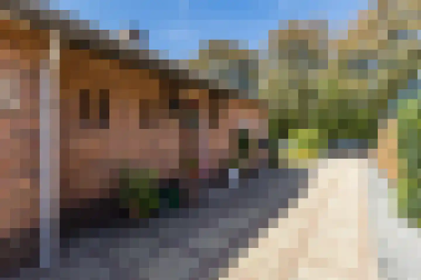 Werenfriedstraat 15 Zieuwent thumbnail 7