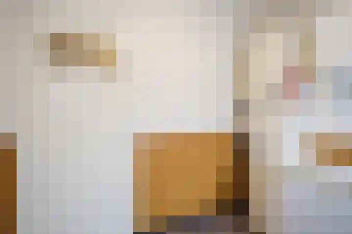 Werenfriedstraat 31 Zieuwent thumbnail 13