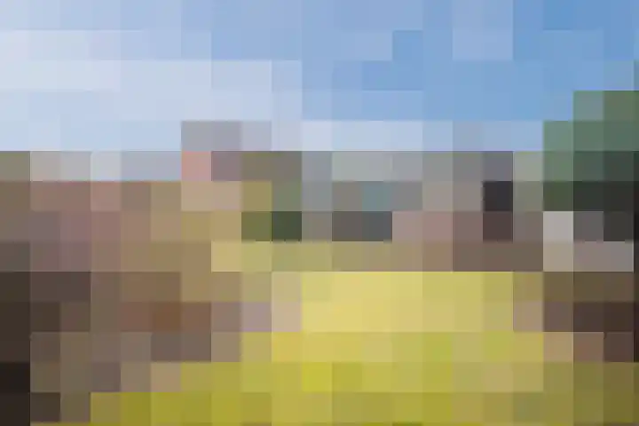 Werenfriedstraat 31 Zieuwent thumbnail 30