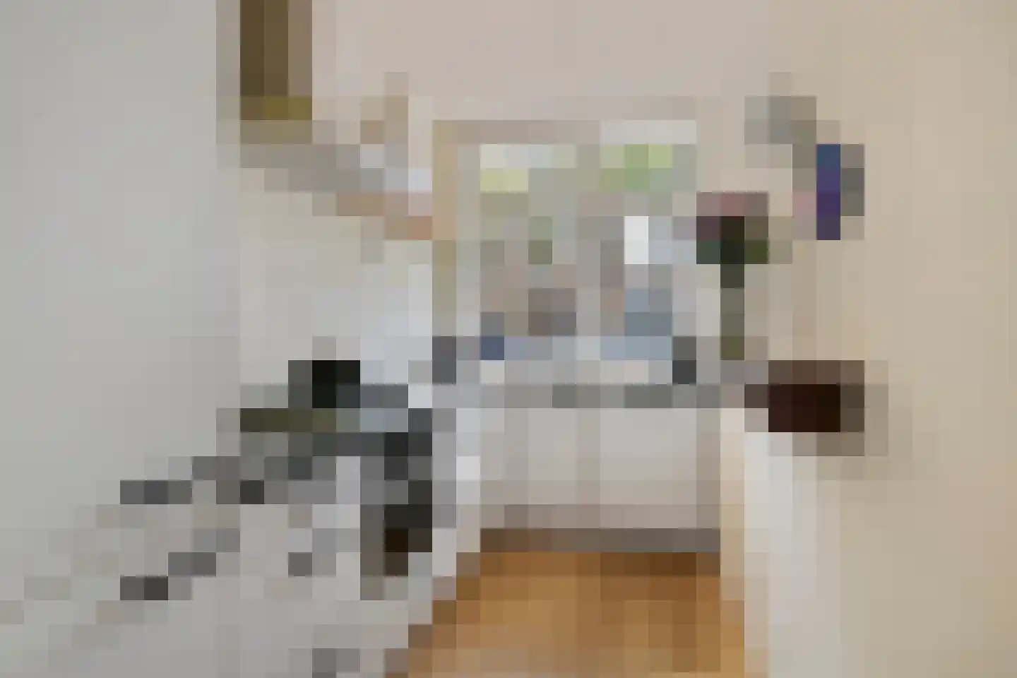 Werengouw 145 Amsterdam thumbnail 14