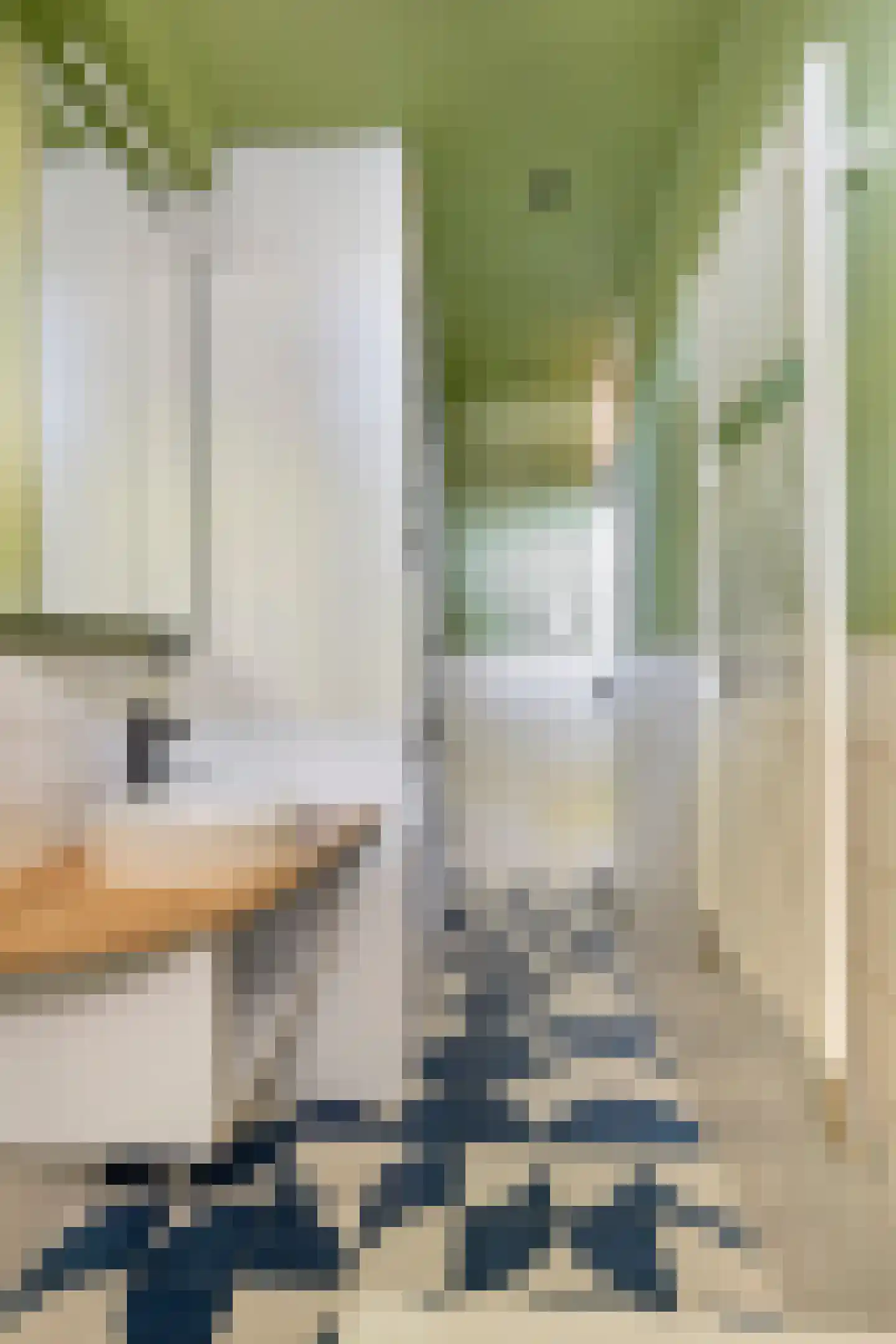 Werengouw 145 Amsterdam thumbnail 19