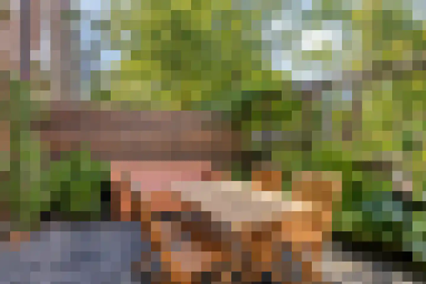 Werengouw 145 Amsterdam thumbnail 28