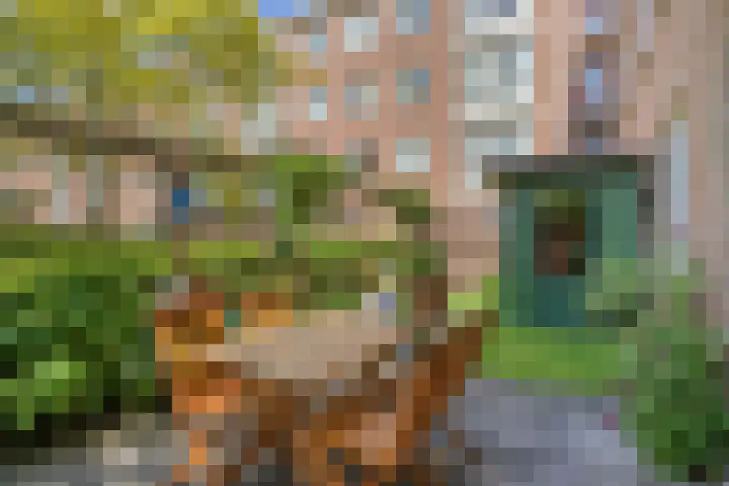 Werengouw 145 Amsterdam thumbnail 9