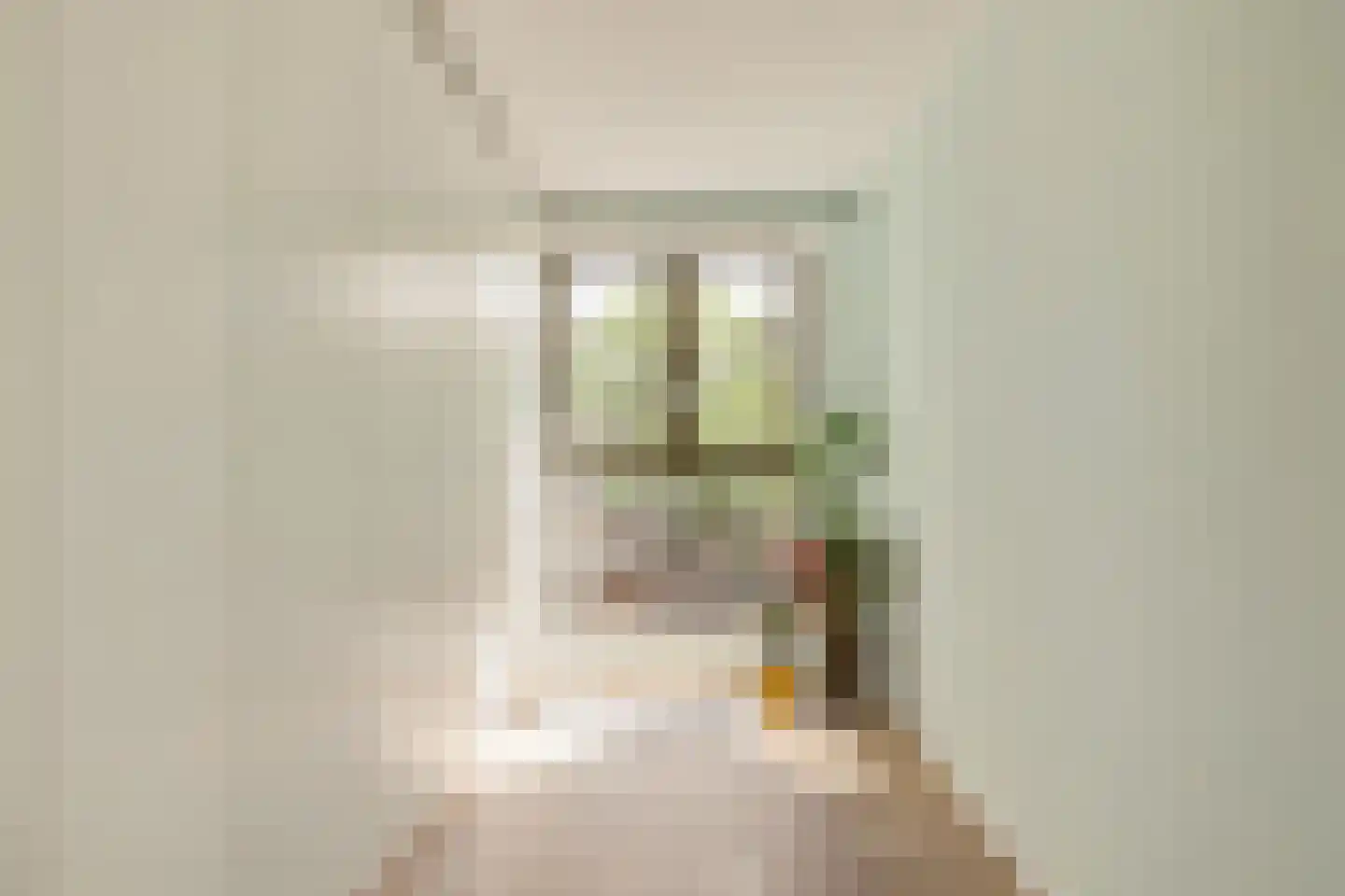 Werengouw 202 Amsterdam thumbnail 20
