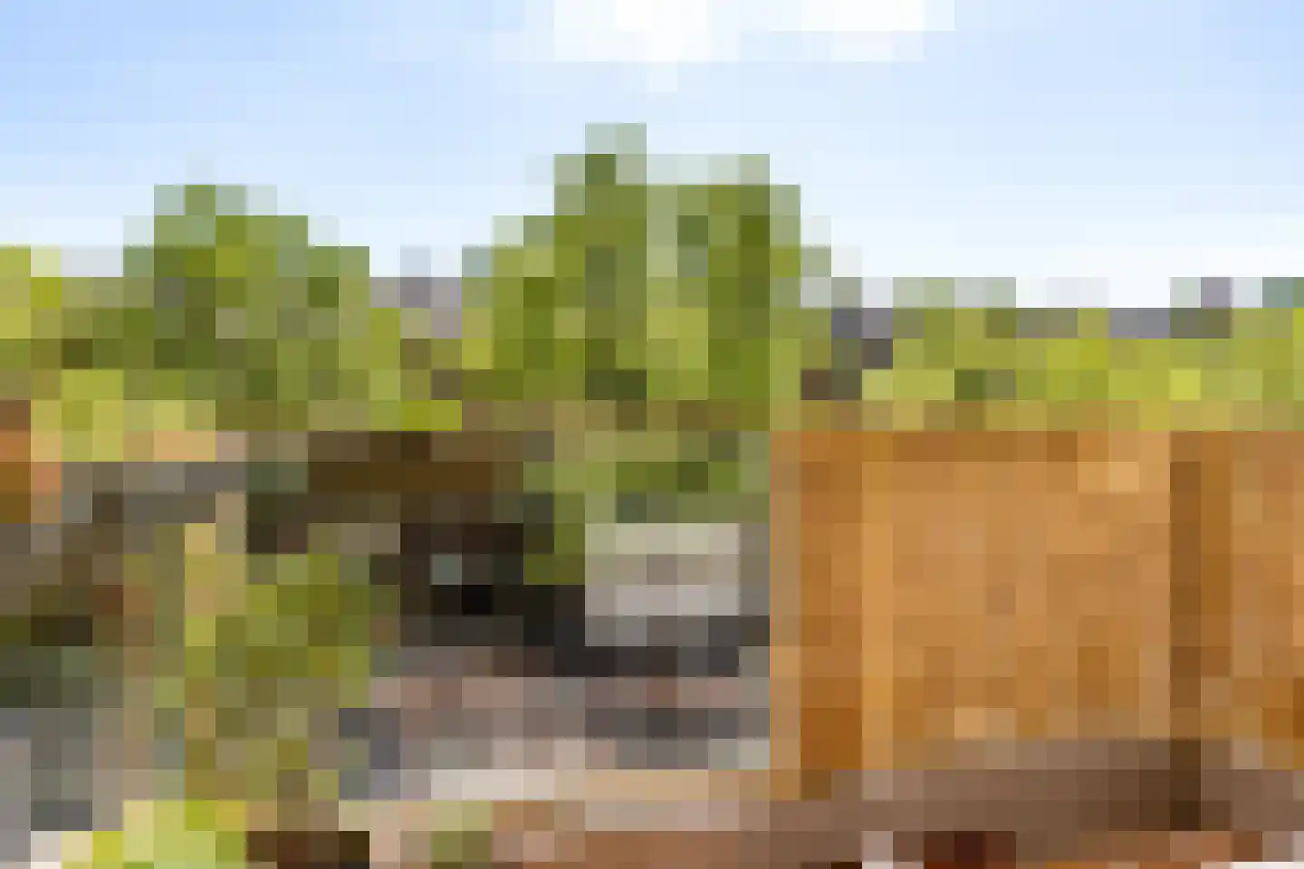 Werengouw 202 Amsterdam thumbnail 22