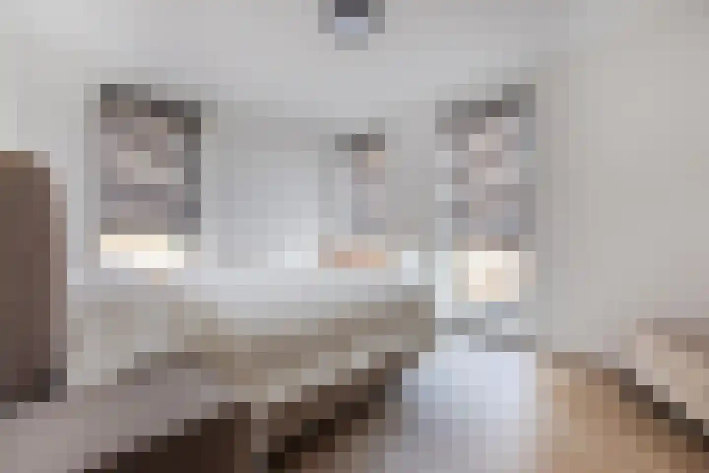 Werengouw 210 Amsterdam thumbnail 20