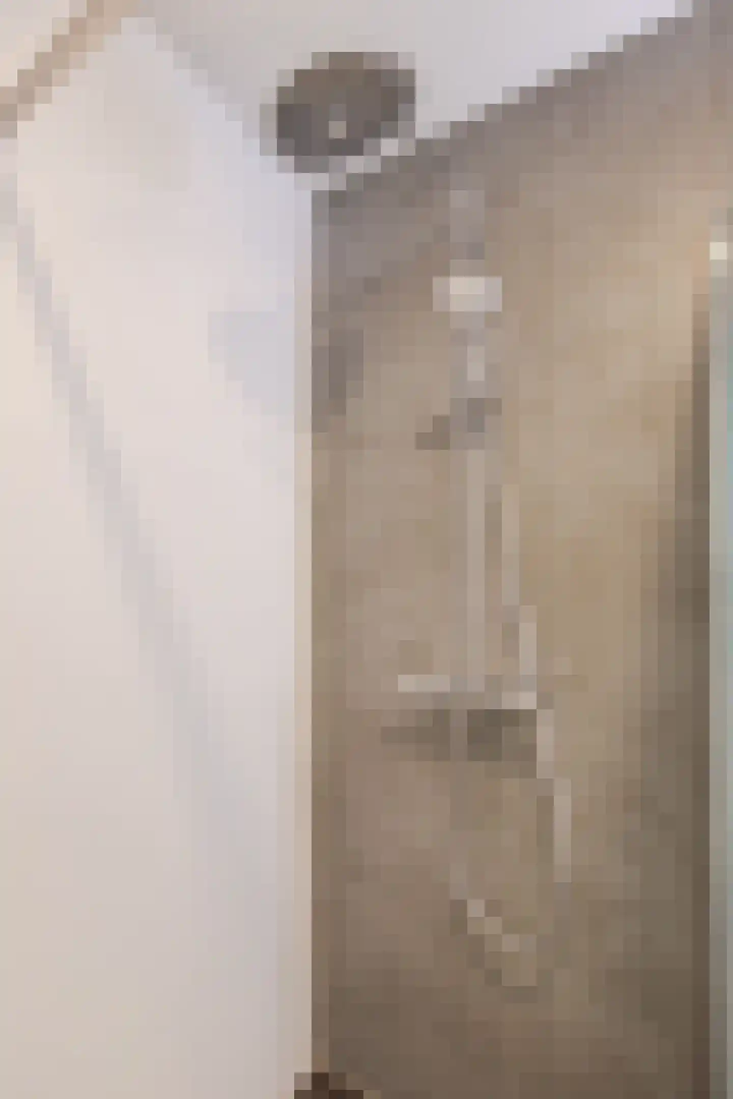 Werengouw 210 Amsterdam thumbnail 24
