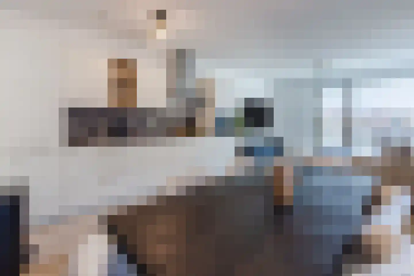 Werengouw 210 Amsterdam thumbnail 38