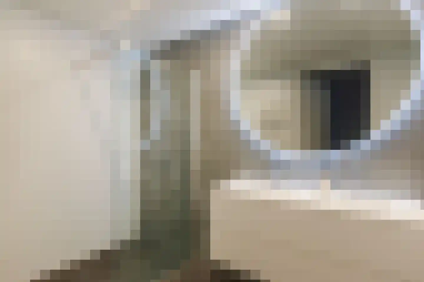 Werengouw 210 Amsterdam thumbnail 6