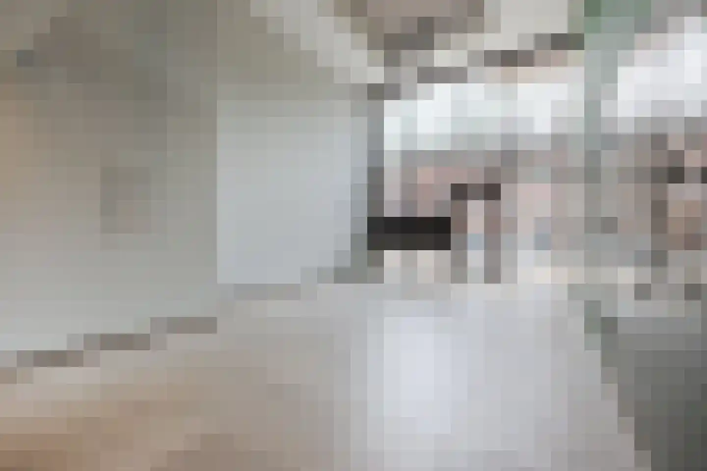 Werengouw 210 Amsterdam thumbnail 7