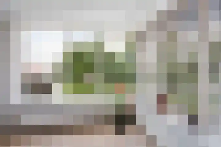 Werengouw 29 Volendam thumbnail 16