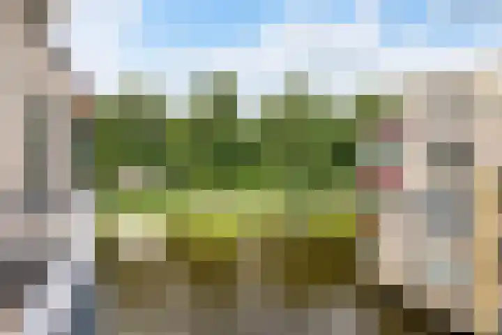 Werengouw 29 Volendam thumbnail 33