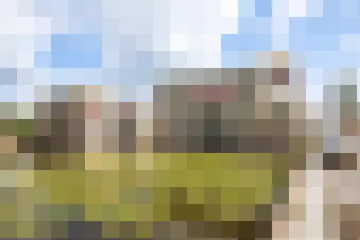 Werengouw 29 Volendam thumbnail 34