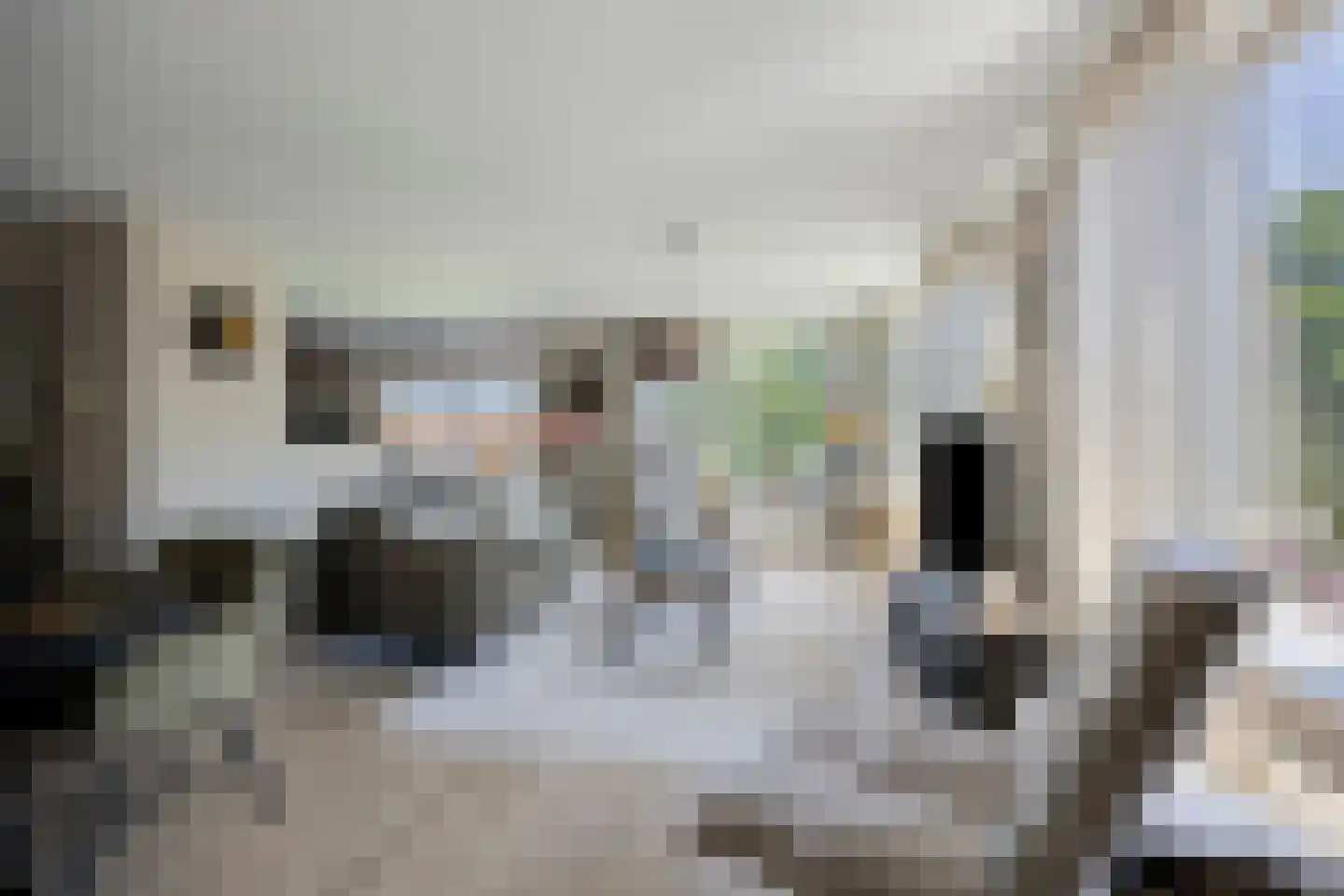 Werengouw 29 Volendam thumbnail 4