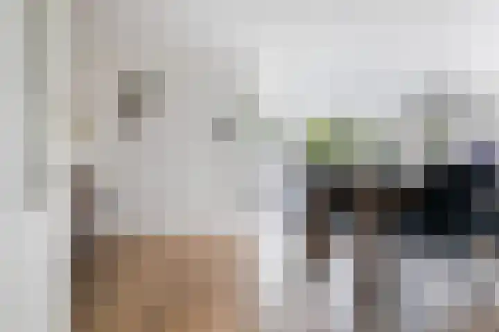 Werengouw 29 Volendam thumbnail 7